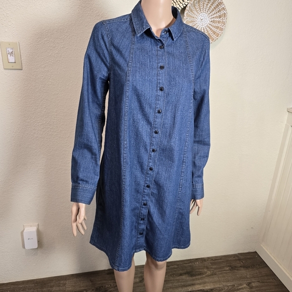 Madewell Dress Womens Long Sleeve  Button Up Blue Size Small Whit Pockets - Picture 12 of 16